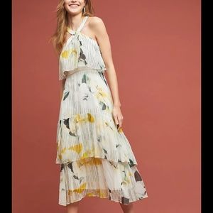 NWOT $240 Size 4P Garden Party Dress by Anthropologie